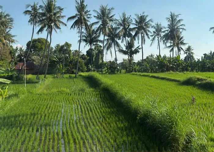 Abcde Pabean Buleleng